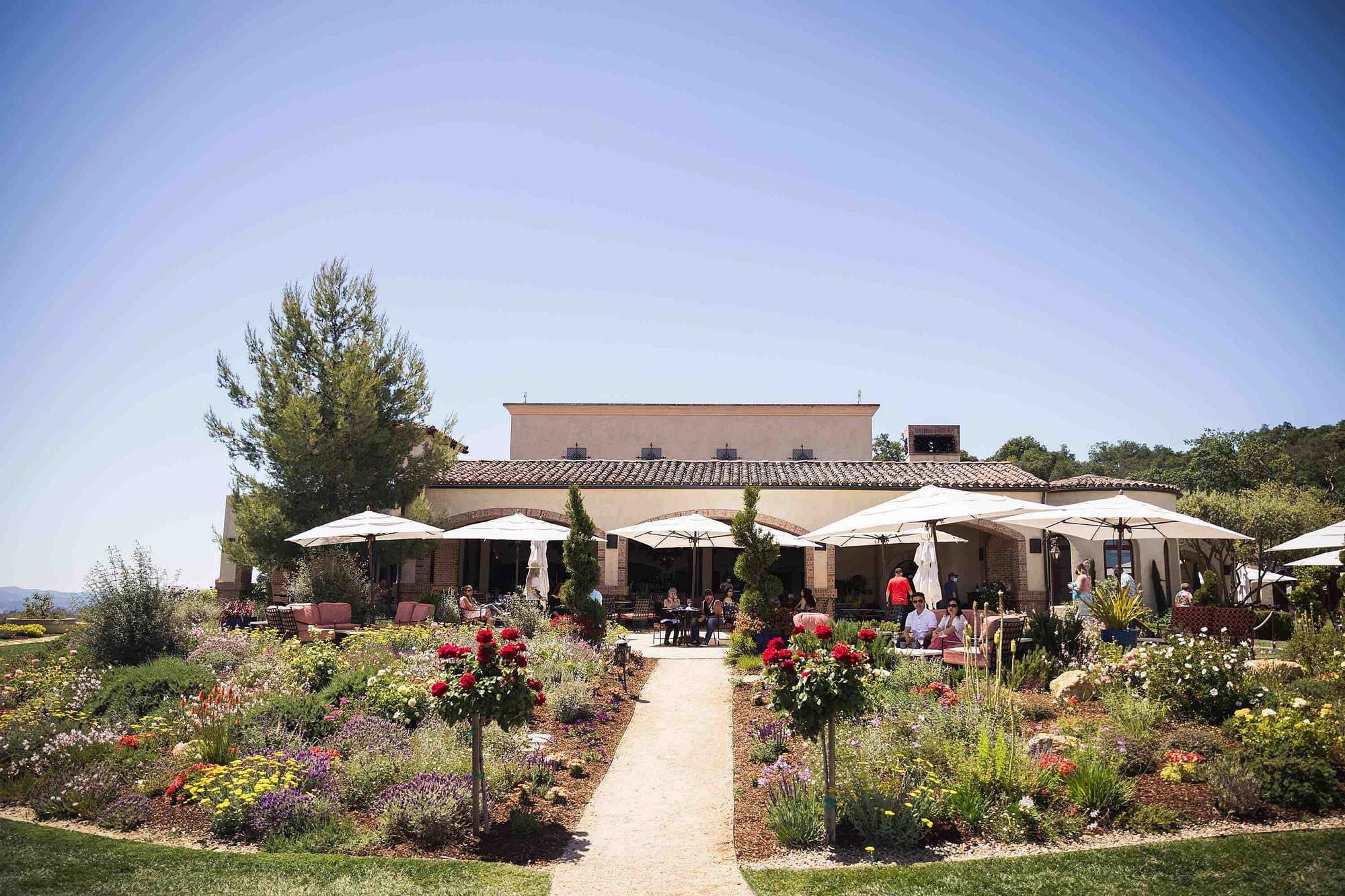 DAOU Tasting room in Paso Robles