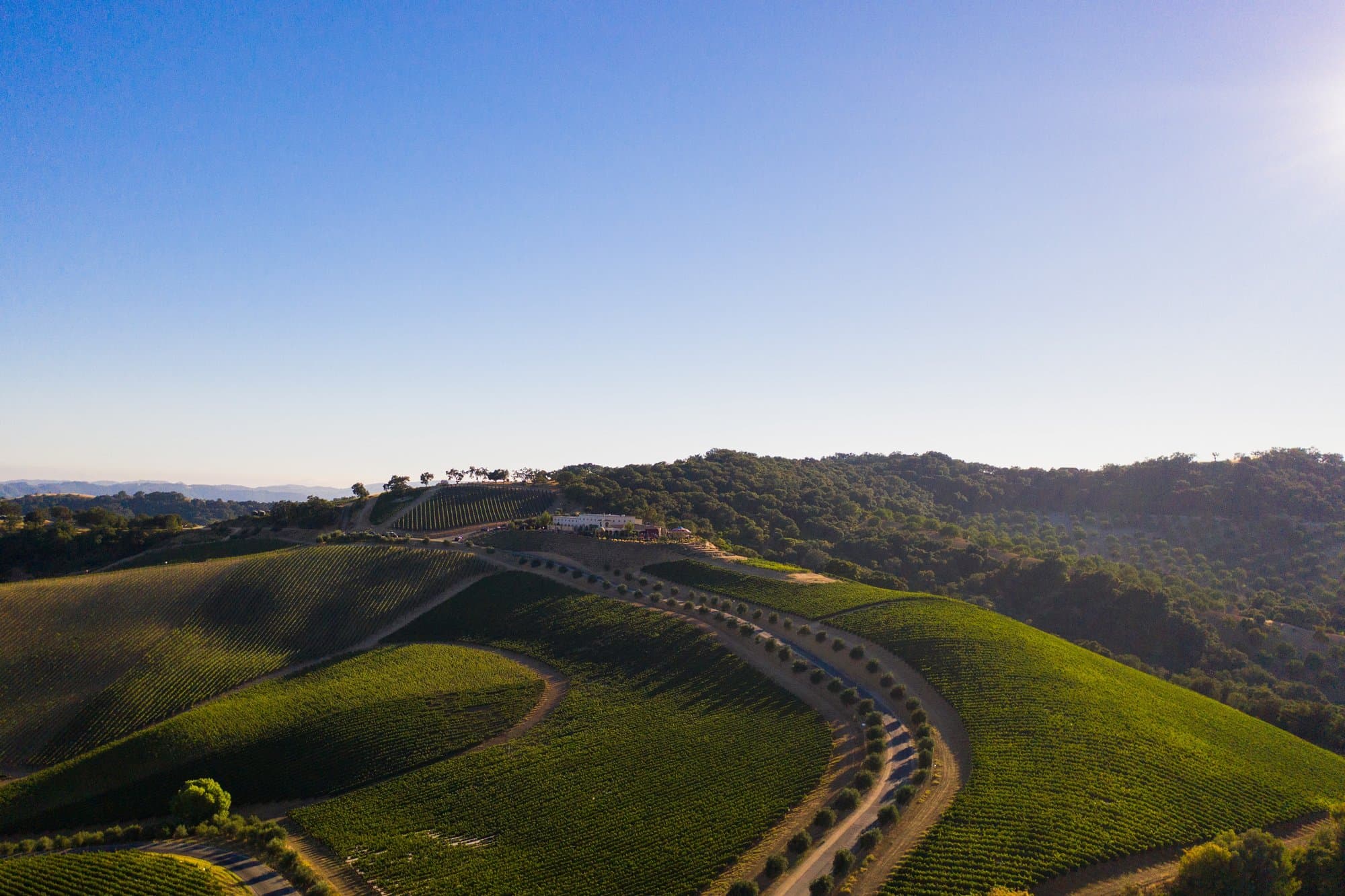 A wide landscape of the DAOU Estate and vineyards at sunset