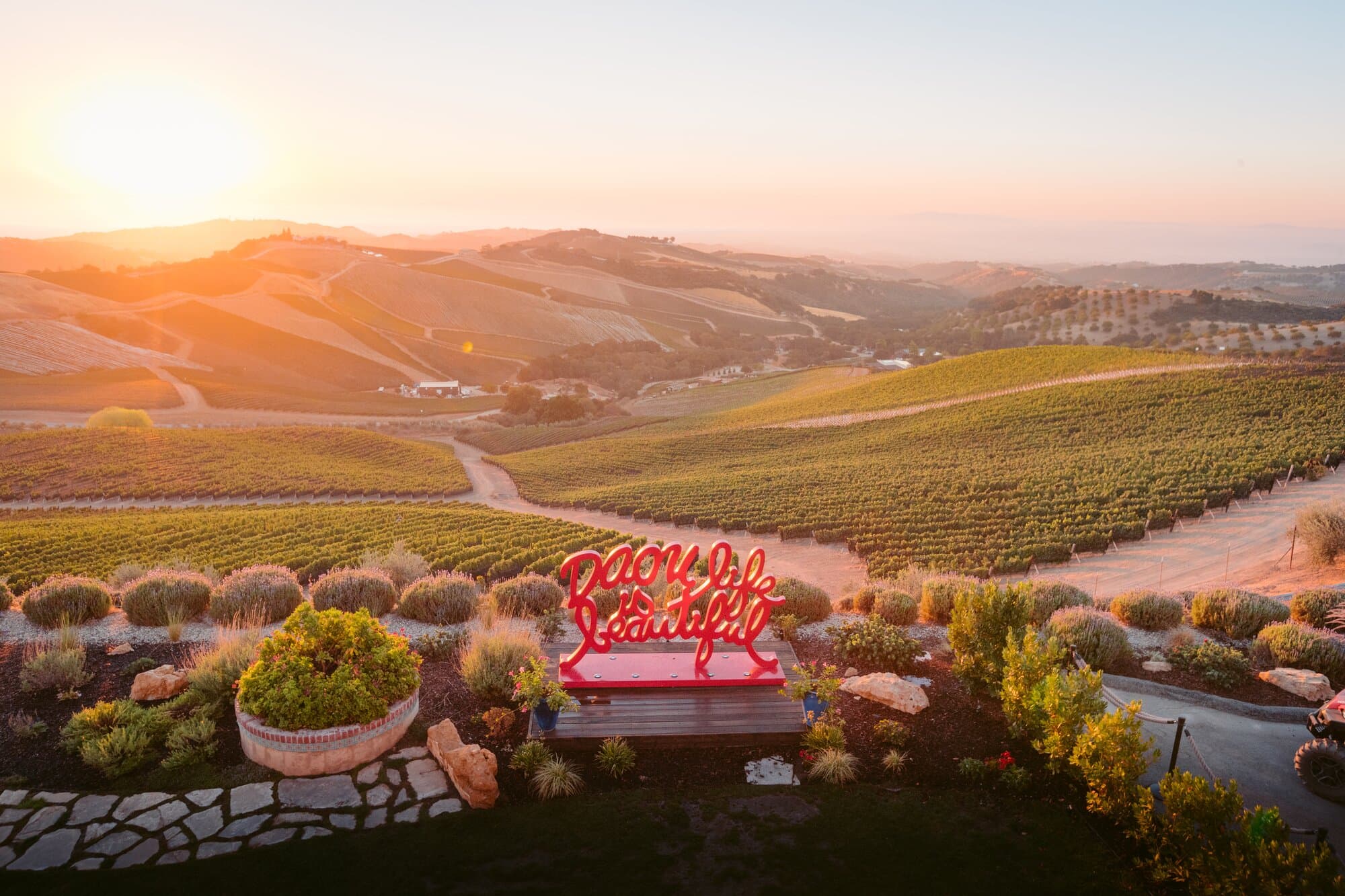 Aerial view of the DAOU Vineyard